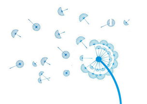攜手長春網站建設，打造企業專屬的數字化門戶